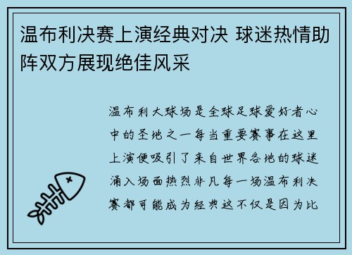 温布利决赛上演经典对决 球迷热情助阵双方展现绝佳风采